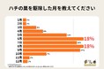 【独自調査】晩夏から秋はハチ被害に要注意！生態の変化と危険性を解説
