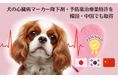 犬の心臓病マーカー降下剤・予防薬治療薬特許を韓国・中国でも取得