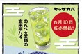 【プロント「キッサカバ」で採用】“のんべえ茶師の玄米茶ハイ”が全国チェーンで販売スタート!