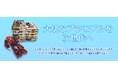 【株式会社コクメイ】京都のプラモデル買取の専門サイトをオープン