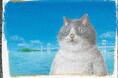 愛媛生まれの人気童話「かなしきデブ猫ちゃん」とタイアップした「アーモンドこざかにゃ」販売開始!!