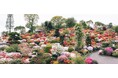 福島県富岡町にてZ世代起業家が花から酒と文化を創り出す。シグネチャー花酵母焼酎 "Raisama"と旗艦蔵である"Raisama Distillery"の新設を発表