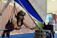 VRハンググライダーイベントを実施!