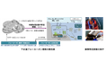 「下水道展'24東京」と「Hitachi Social Innovation Forum 2024 JAPAN」で、「下水道ブルーカーボン構想」の取り組みを紹介します