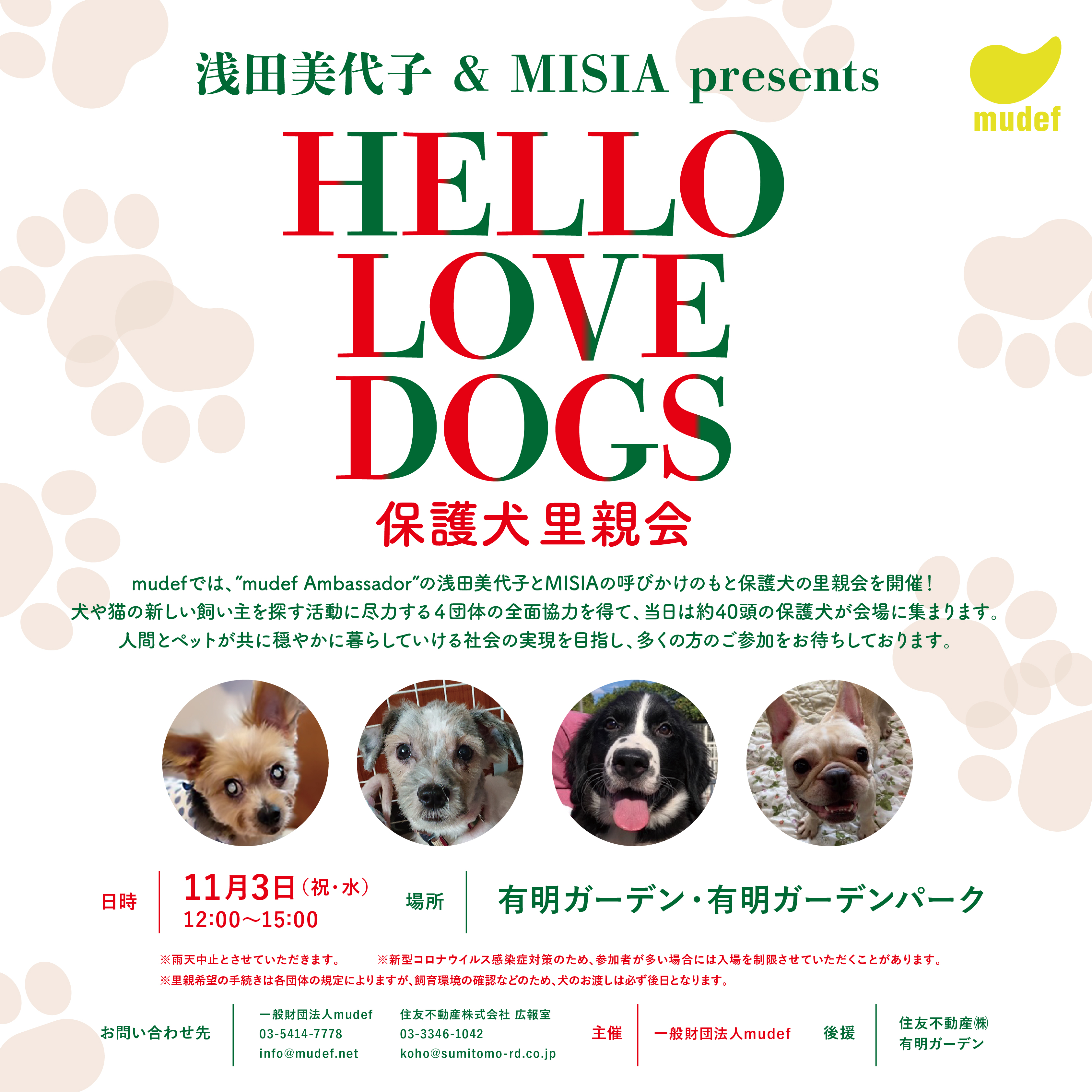 浅田美代子 Misia Presents Hello Love Dogs 保護犬里親会 一般財団法人mudefのプレスリリース