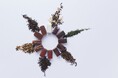 【ショコラティエ パレドオール】利き茶のように愉しむ6種の茶葉のショコラコレクション