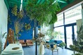 植物のある暮らしを、もっと気軽に。ドライフラワー・スワッグ専門店「土と風の植物園」送料ルールを見直しました