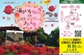 馬見丘陵公園の秋のイベント「 あきいろ マルシェ in 馬見フラワーフェスタ 」開催!
