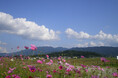 奈良県景観資産パネル展の開催について