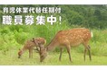 奈良県育児休業代替任期付職員(事務)を募集!