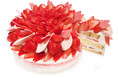 カフェコムサは毎月22日がショートケーキの日!3月は開花が待ち遠しい「桜のショートケーキ」が登場