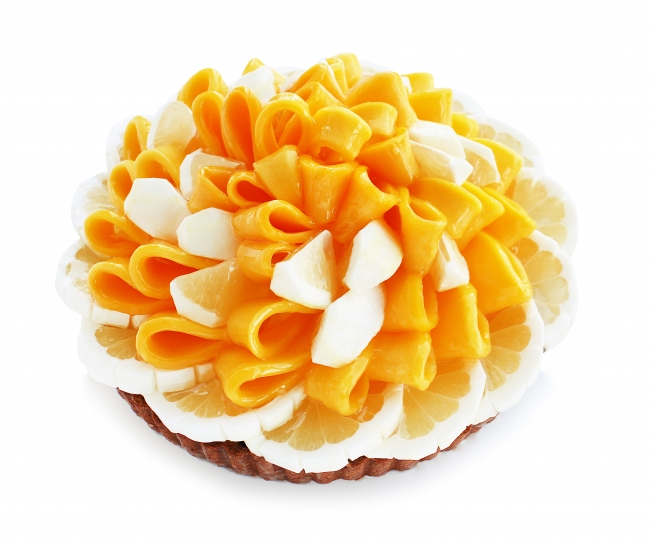宮崎県産柑橘「日向夏」とマンゴーのケーキ
