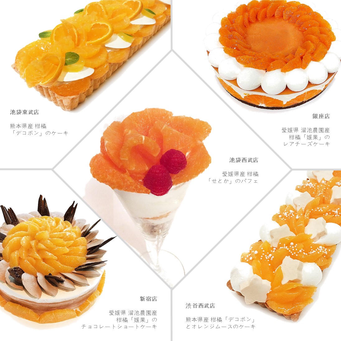 オレンジの日 限定ケーキ 株式会社ファイブフォックスのプレスリリース