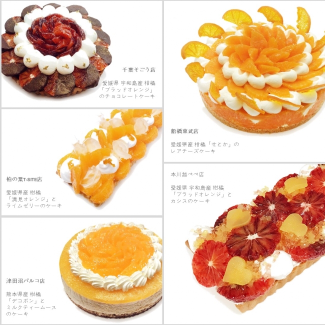 オレンジの日限定ケーキ3