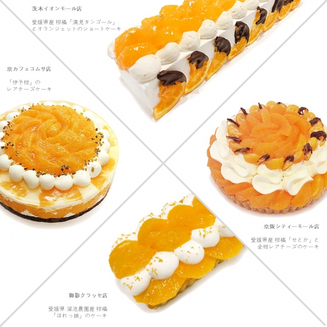 オレンジの日限定ケーキ6