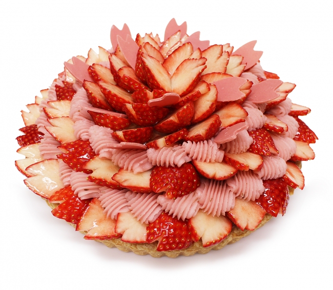 フレッシュフルーツで美しい日本の桜を表現 春を感じる桜のケーキを発売 株式会社ファイブフォックスのプレスリリース