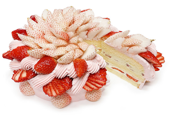 カフェコムサは毎月22日がショートケーキの日 2月は 白いちご と おすすめのいちご を使用した限定デザインのショートケーキ を発売 株式会社ファイブフォックスのプレスリリース