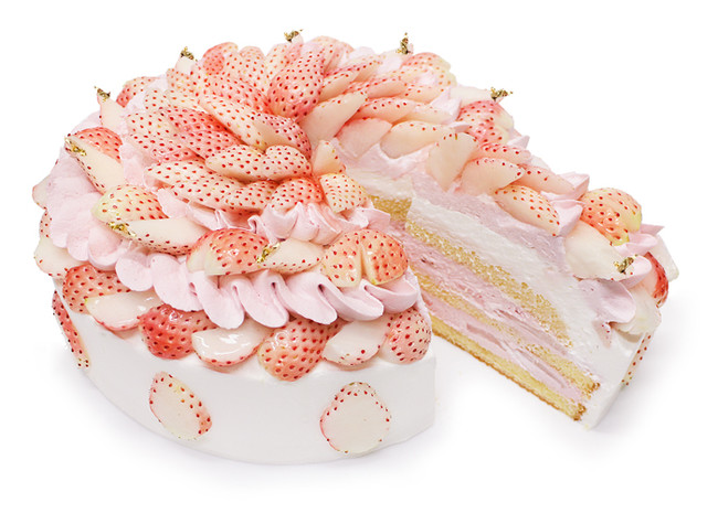 カフェコムサは毎月22日がショートケーキの日 1月は希少性が高い 白いちご のショートケーキ 株式会社ファイブフォックスのプレスリリース