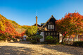 秋の紅葉と美術館を楽しむ 京都・大山崎の美術館へ