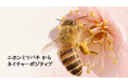世界ミツバチDayに合わせ公開｜ニホンミツバチからネイチャーポジティブへ ― 日本固有の野生種から、生態系とのつながりを学ぶプラットフォーム