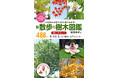 【新刊】新緑の季節にぴったり!488種もの樹木を掲載したハンディ図鑑『新 散歩の樹木図鑑』好評発売中!