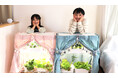 『小学生の自営業』夏休みで急伸　7月期 平均収入3,360円