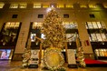 大丸福岡天神店「ネイチャーポジティブクリスマス」で九州の自然共生サイトを紹介