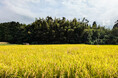 2030年ネイチャーポジティブの実現に向けて NPO法人 唐津Farm&Food、「自然共生サイト」認定式に参加