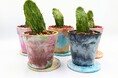 「GREEN MARKET FUKUOKA」初の福岡開催にPrecious Plastic唐津が出店──約1,000個のペットボトルキャップが「世界にひとつの鉢」に
