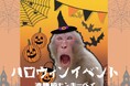 サルと過ごすハロウィン!?波勝碕モンキーベイでハロウィンイベント開催!