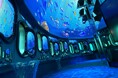 玄海海中展望塔50周年キャンペーンをおこないます