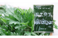 2025年収穫の新鮮なよもぎをそのままペーストにした「蔵王餅草」販売開始