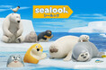 SEALOOK(シールック)がテレ東系列6局ネットで日本初放送決定!