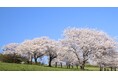 年額60万円「太田市みらい給付型奨学金」令和7年度奨学生を募集中!