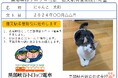 黒部峡谷トロッコ電車 「猫又駅」乗降開始に伴う猫の「名誉助役」任命企画の実施