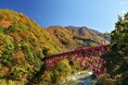 黒部峡谷(トロッコ電車沿線)の紅葉見頃について
