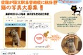 黒部峡谷鉄道「猫又駅」での乗車にちなみ猫の「名誉助役」大募集!