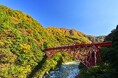 黒部峡谷（トロッコ電車沿線）の紅葉見頃について