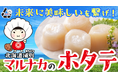 目標金額の1045％達成！『ホタテの貝殻をアップサイクル』未来に美味しいを繋ぐ北海道オホーツク湧別・マルナカ相互商事のホタテプロジェクト！マクアケ先行販売は8月30日終了！