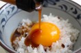 【ごはんと食べるチョコ??】個性豊かなごはんのお供!代官山で無料試食