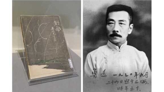 展覧会のタイトルは、 中国の国民作家、魯 迅（ろじん、1881- 1936）が『野草』に 由来します。