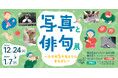 【横浜市民ギャラリーあざみ野】子どもたちが思い思いに撮影して紡いだ写真と俳句を展示