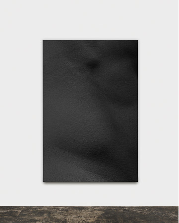 Goshi Uhira, ‘Skin (4420)’, 2020