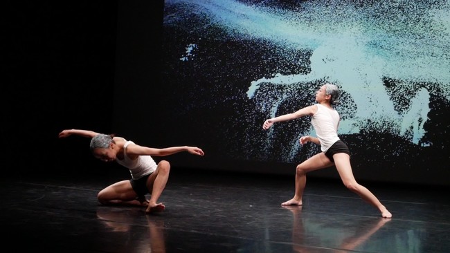 Somatic Field Project(演出:梅田宏明) Somatic Field Project(演出:梅田宏明)