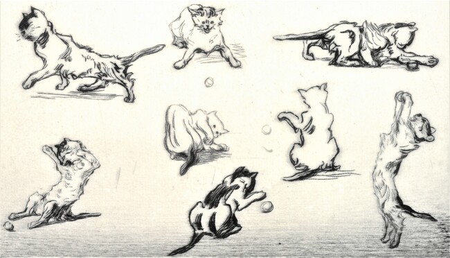 ポール・ルヌアール《伸び上がる猫》(部分)1907年 ポール・ルヌアール《伸び上がる猫》(部分)1907年