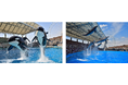シャチ・イルカ・ベルーガ・ペンギン・ウミガメ・・・みんなで海の仲間に会いに行こう！『名古屋港水族館法人サポーター』になりました！