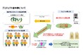 鈴生はクミアイ化学工業と連携し、静岡県での農業由来の温室効果ガス排出量削減に向けた水田中干延長カーボンクレジットの創出・売買を通し「クレジット取引の見える化」に向け地産地消モデルの普及・拡大を目指す