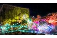 東急プラザ原宿「ハラカド」にて日本の夏文化を盛り上げるイベント高知県の魅力を五感で体感する「原宿よさこいフェア」とアソビシステムが届ける「KAWAII夜市 vol.1」を同時開催