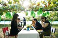 秋旅におすすめ!天童温泉に泊まって楽しむ、盆栽づくり、贈答用シャインマスカット、ぶどう狩り、秘境ハイキング、ビアフライト、5つの体験型ツアー大好評ご予約受付中!