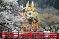 豪華絢爛な屋台が春を彩る「高山祭（山王祭）」開催